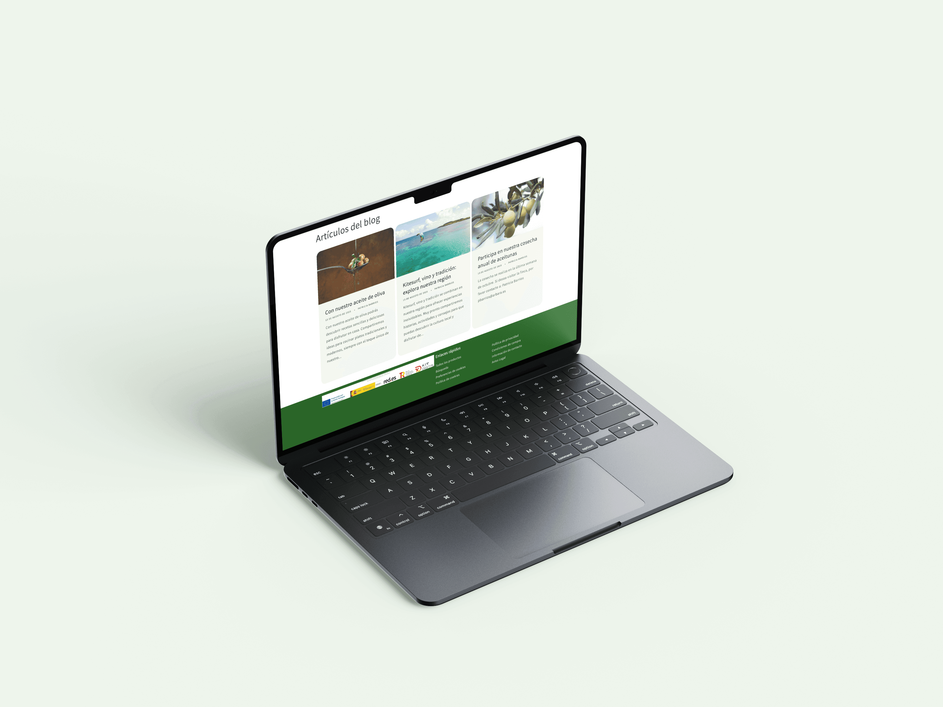 mockup Configuración de Shopify